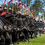 RCMP Musical Ride horses and audience